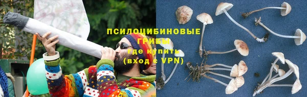 PSILOCYBIN Ленинск-Кузнецкий