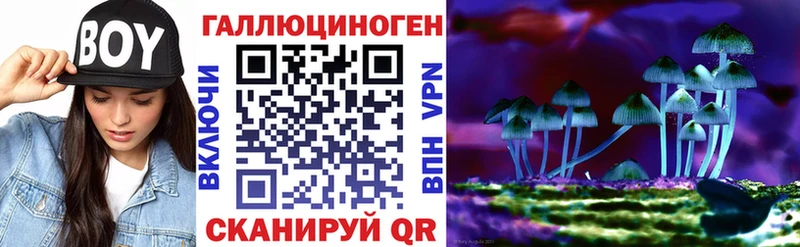 Псилоцибиновые грибы Cubensis  где купить наркотик  omg ТОР  Межгорье 